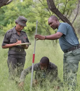 National Diploma Nature Conservation